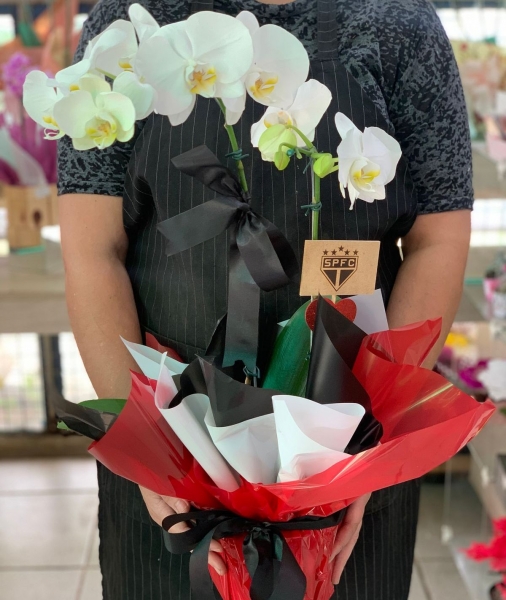 Orquídea Branca Time São Paulo